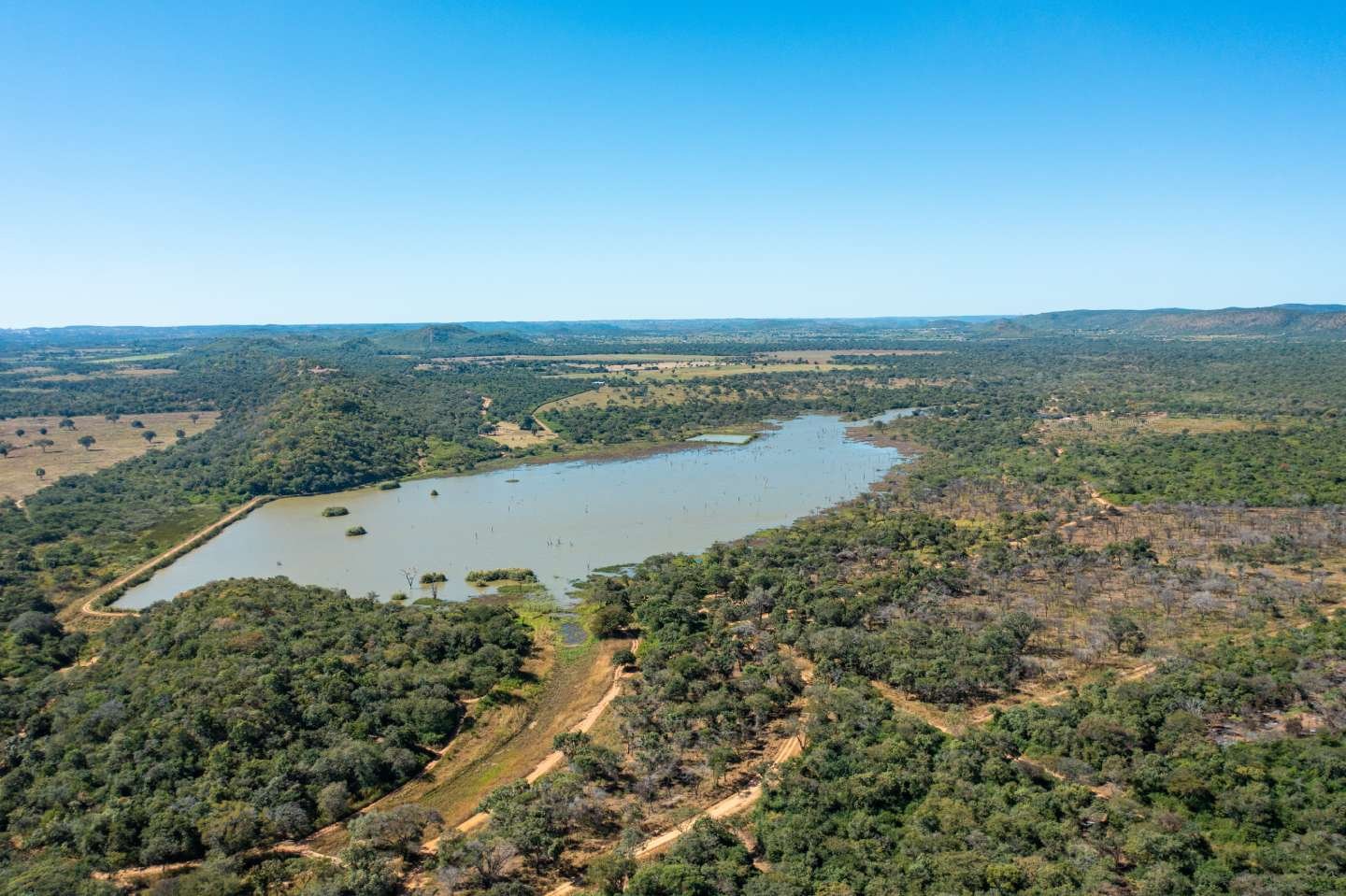 Mpande Hills Estate Wildlife